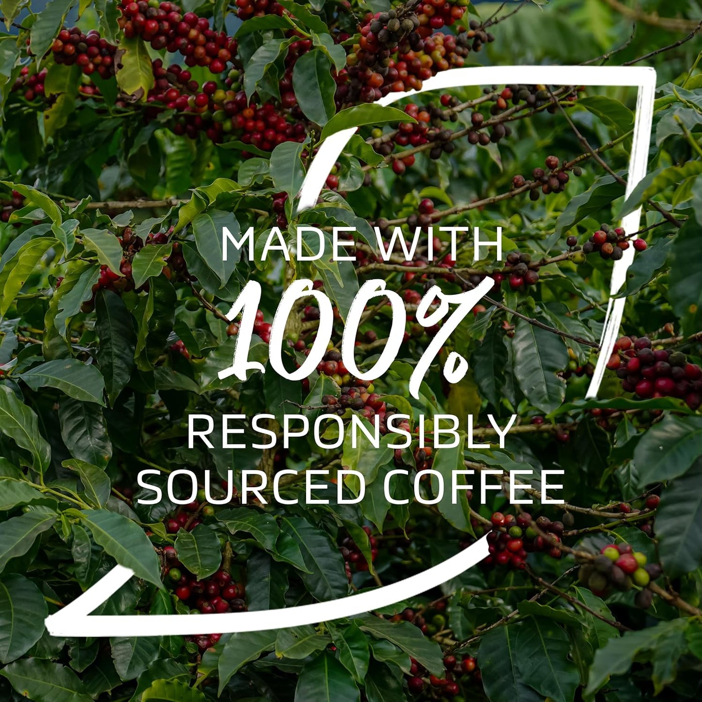 NESCAFÉ Irish Latte Instant Coffee Sachets 8 x 19.8g (Pack of 6)